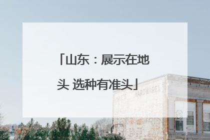 山东：展示在地头 选种有准头