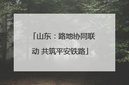 山东：路地协同联动 共筑平安铁路