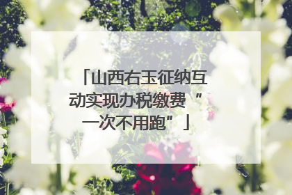 山西右玉征纳互动实现办税缴费“一次不用跑”