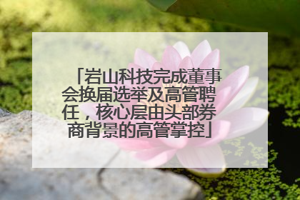 岩山科技完成董事会换届选举及高管聘任，核心层由头部券商背景的高管掌控