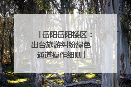 岳阳岳阳楼区：出台旅游纠纷绿色通道操作细则