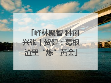 峰林聚智 科创兴张丨贺健：葛根渣里“炼”黄金
