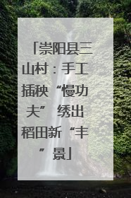 崇阳县三山村：手工插秧“慢功夫” 绣出稻田新“丰”景