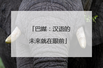 巴媒：汉语的未来就在眼前