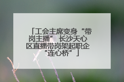 工会主席变身“带岗主播” 长沙天心区直播带岗架起职企“连心桥”