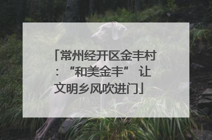 常州经开区金丰村：“和美金丰” 让文明乡风吹进门