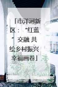 市洋河新区：“红蓝”交融 共绘乡村振兴幸福画卷