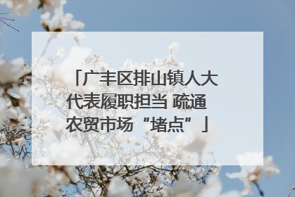 广丰区排山镇人大代表履职担当 疏通农贸市场“堵点”