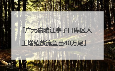 广元嘉陵江亭子口库区人工增殖放流鱼苗40万尾