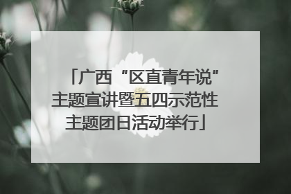 广西“区直青年说”主题宣讲暨五四示范性主题团日活动举行