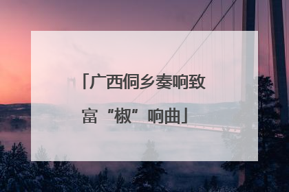 广西侗乡奏响致富“椒”响曲