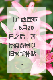广西宣布：6月20日之后，暂停消费品以旧换新补贴