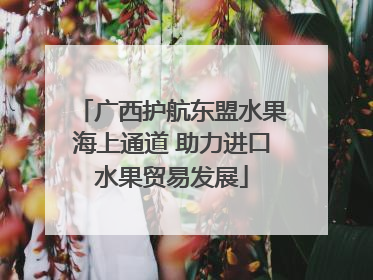 广西护航东盟水果海上通道 助力进口水果贸易发展