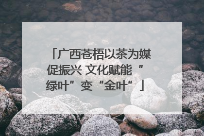 广西苍梧以茶为媒促振兴 文化赋能“绿叶”变“金叶”