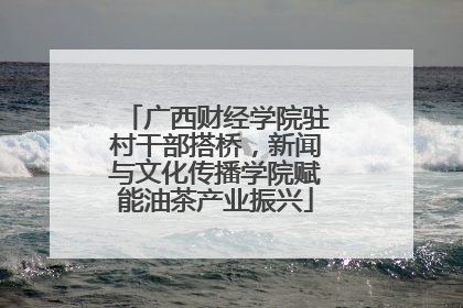 广西财经学院驻村干部搭桥，新闻与文化传播学院赋能油茶产业振兴