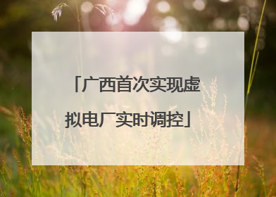 广西首次实现虚拟电厂实时调控
