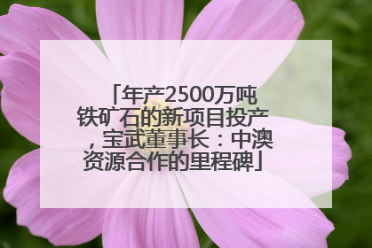 年产2500万吨铁矿石的新项目投产，宝武董事长：中澳资源合作的里程碑
