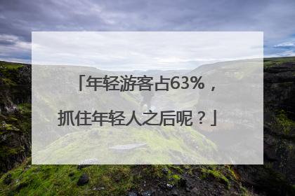 年轻游客占63%，抓住年轻人之后呢？
