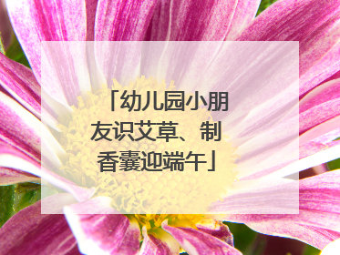 幼儿园小朋友识艾草、制香囊迎端午