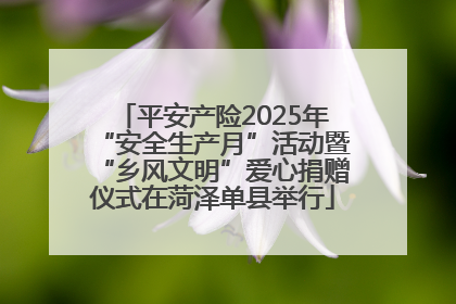 平安产险2025年“安全生产月”活动暨“乡风文明”爱心捐赠仪式在菏泽单县举行