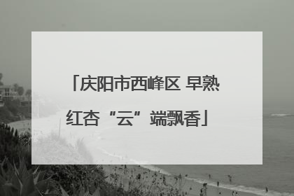 庆阳市西峰区 早熟红杏“云”端飘香