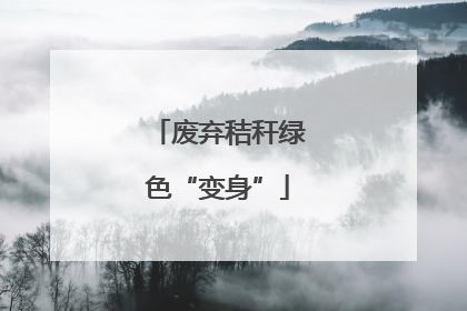废弃秸秆绿色“变身”