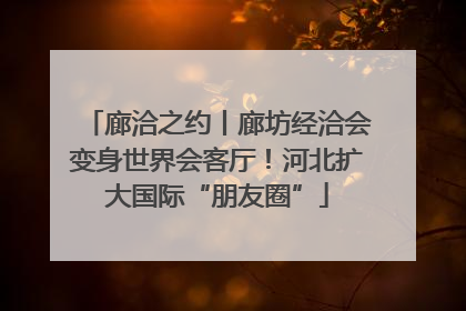 廊洽之约丨廊坊经洽会变身世界会客厅！河北扩大国际“朋友圈”