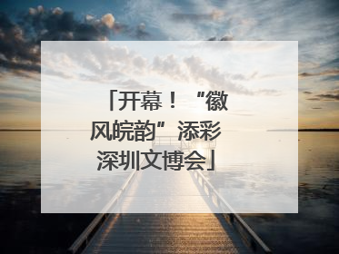 开幕！“徽风皖韵”添彩深圳文博会