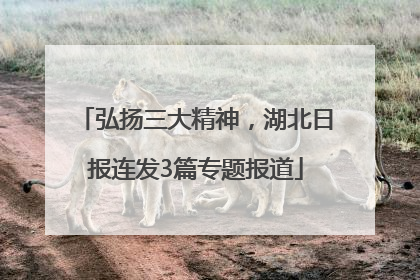 弘扬三大精神，湖北日报连发3篇专题报道