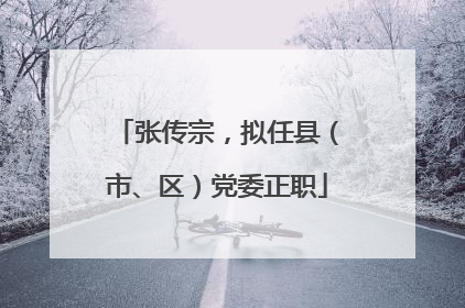张传宗，拟任县（市、区）党委正职