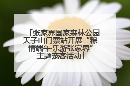 张家界国家森林公园天子山门票站开展“粽情端午·乐游张家界”主题宠客活动