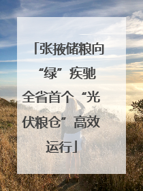 张掖储粮向“绿”疾驰 全省首个“光伏粮仓”高效运行
