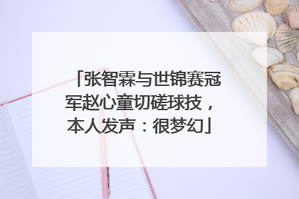 张智霖与世锦赛冠军赵心童切磋球技，本人发声：很梦幻