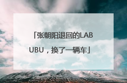 张朝阳退回的LABUBU，换了一辆车