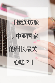 接连访豫，中亚国家的州长最关心啥？