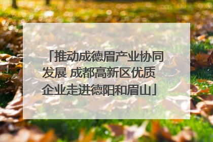 推动成德眉产业协同发展 成都高新区优质企业走进德阳和眉山