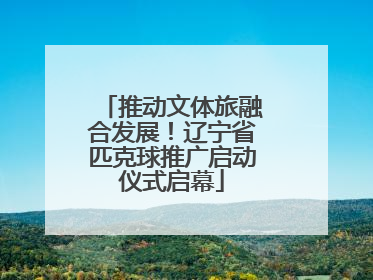 推动文体旅融合发展！辽宁省匹克球推广启动仪式启幕