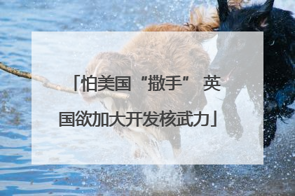怕美国“撒手” 英国欲加大开发核武力