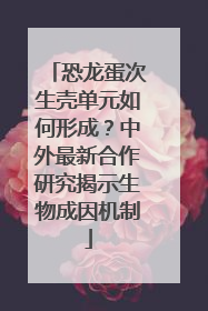 恐龙蛋次生壳单元如何形成？中外最新合作研究揭示生物成因机制