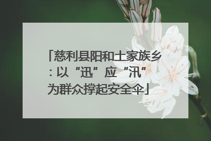 慈利县阳和土家族乡：以“迅”应“汛” 为群众撑起安全伞