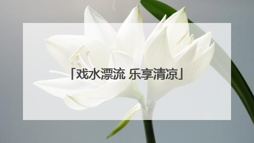 戏水漂流 乐享清凉