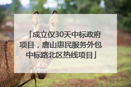 成立仅30天中标政府项目，唐山惠民服务外包中标路北区热线项目