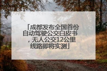 成都发布全国首份自动驾驶公交白皮书，无人公交12公里线路即将实测