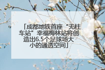 成都地铁首座“无柱车站”幸福梅林站将创造出6.5个足球场大小的通透空间