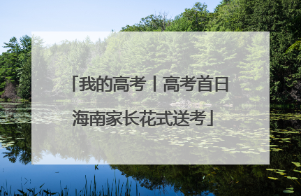 我的高考丨高考首日 海南家长花式送考