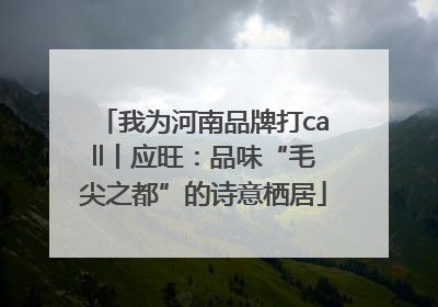 我为河南品牌打call丨应旺：品味“毛尖之都”的诗意栖居