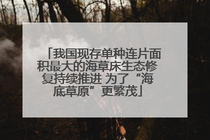 我国现存单种连片面积最大的海草床生态修复持续推进 为了“海底草原”更繁茂
