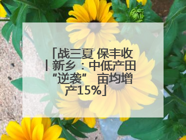 战三夏 保丰收丨新乡：中低产田“逆袭” 亩均增产15%