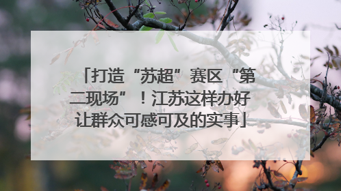 打造“苏超”赛区“第二现场”！江苏这样办好让群众可感可及的实事