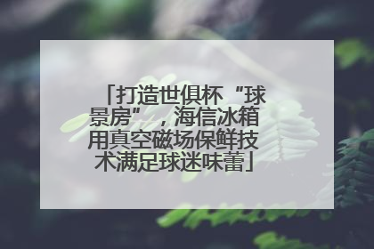 打造世俱杯“球景房”，海信冰箱用真空磁场保鲜技术满足球迷味蕾